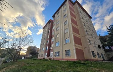 ÇORUH-TRABZON YOLU ÜZERİNDE GÜNEŞ ALAN 3+1 SATILIK FIRSAT DAİRE