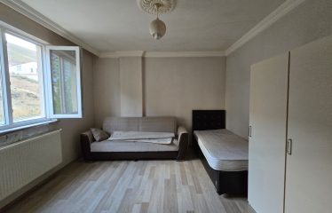 ÇORUH-ÜNİVERSİTE KARŞISI FULL EŞYALI 1+1 KİRALIK DAİRE