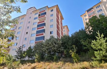 KİRALIK DAİRE| ÇORUH-ÖĞRETMEN TOKİLERİNDE EŞYALI, GENİŞ 3+1 KİRALIK DAİRE