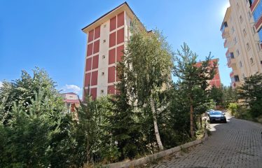 KİRALIK DAİRE| ÇORUH-ÖĞRETMEN TOKİLERİNDE EŞYALI, GENİŞ 3+1 KİRALIK DAİRE